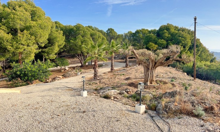 Herverkoop - Villa -
Altea