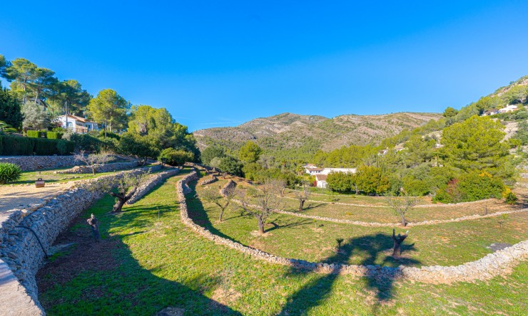 Rynek Wtórny - Finca -
Lliber