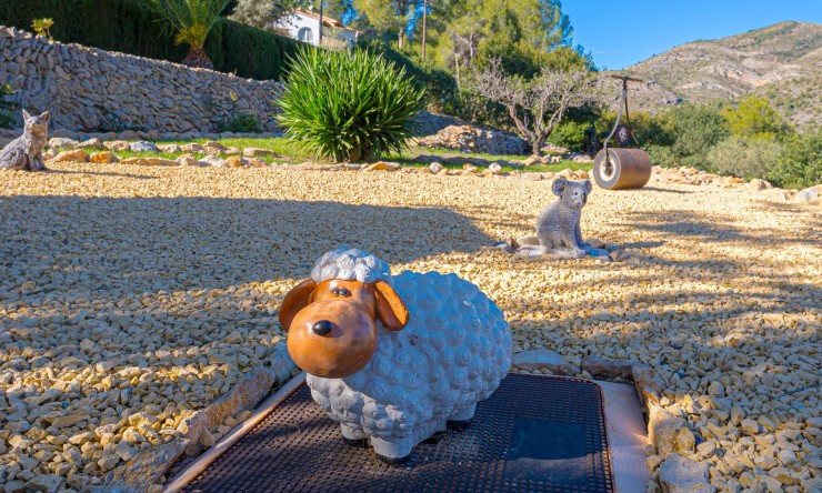 Rynek Wtórny - Finca -
Lliber