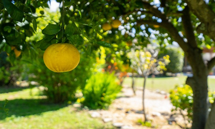 Wiederverkauf - Villa -
Denia - La Xara