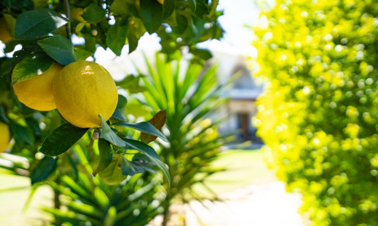 Wiederverkauf - Villa -
Denia - La Xara