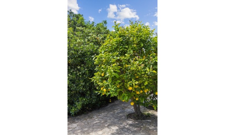 Reventa - Villa -
Jávea / Xàbia - Montgó - Ermita