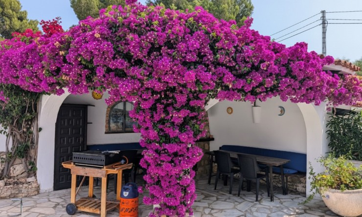 Herverkoop -  -
Moraira - Benimeit - Tabaira