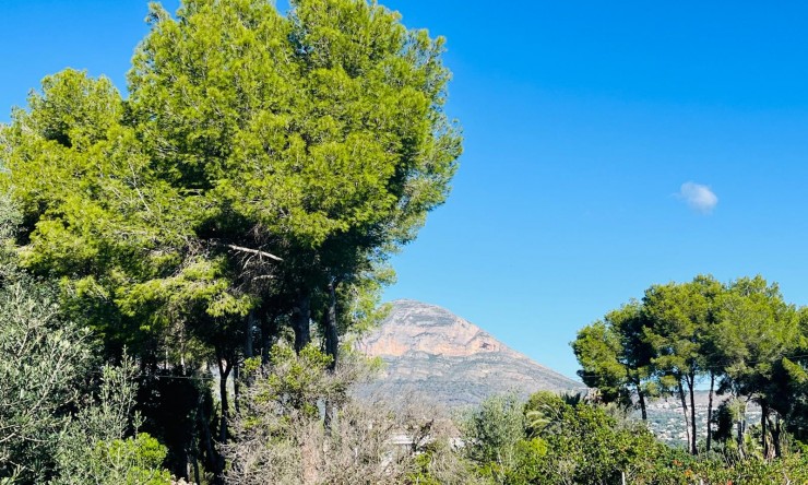 Wiederverkauf - Villa -
Jávea / Xàbia - Partides comunes - Adsubia