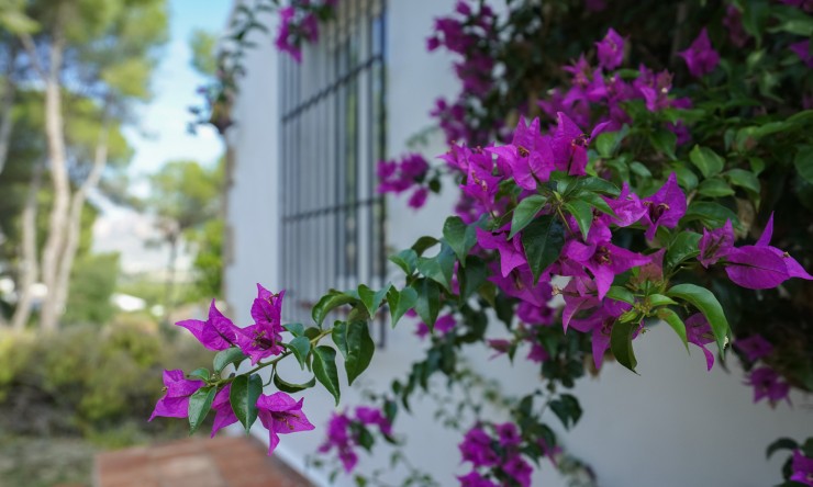 Wiederverkauf - Villa -
Jávea / Xàbia - Partides comunes - Adsubia