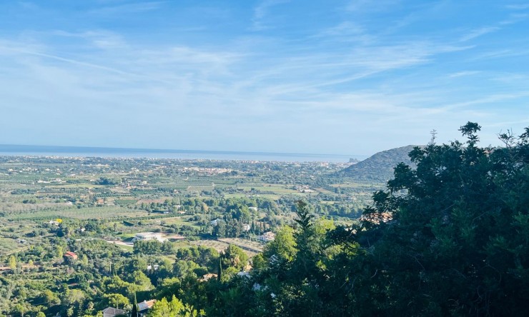 Revente -  -
Pedreguer