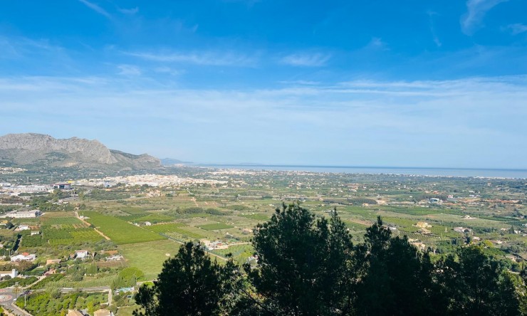 Revente -  -
Pedreguer