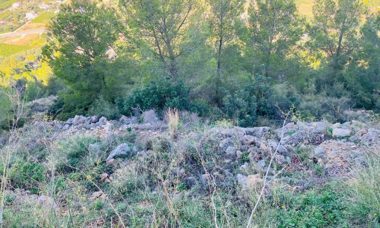 Revente -  -
Pedreguer