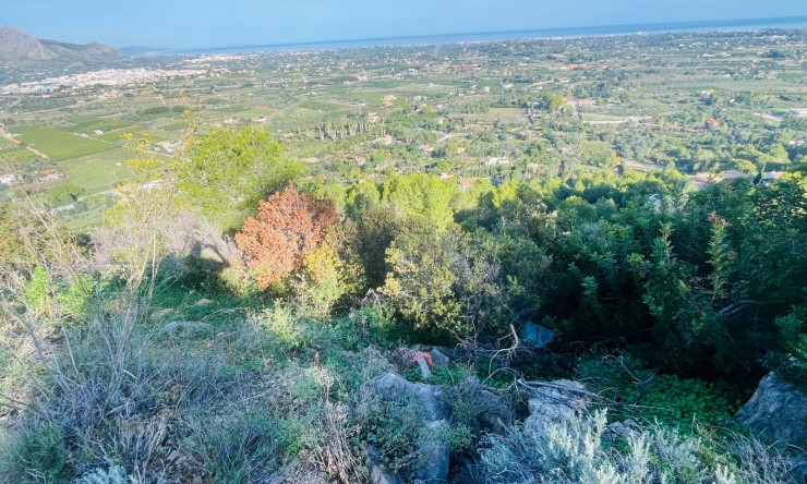 Revente -  -
Pedreguer