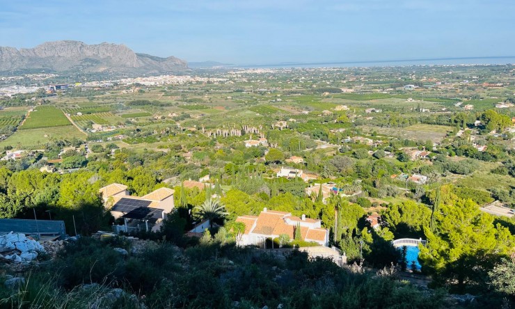 Revente -  -
Pedreguer