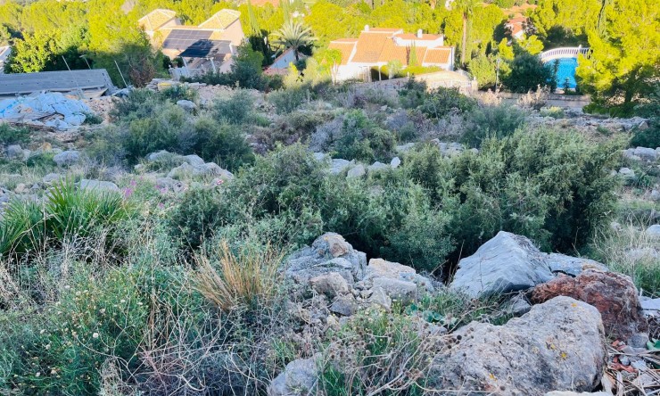 Revente -  -
Pedreguer