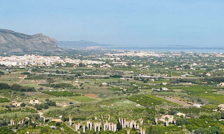 Revente -  -
Pedreguer