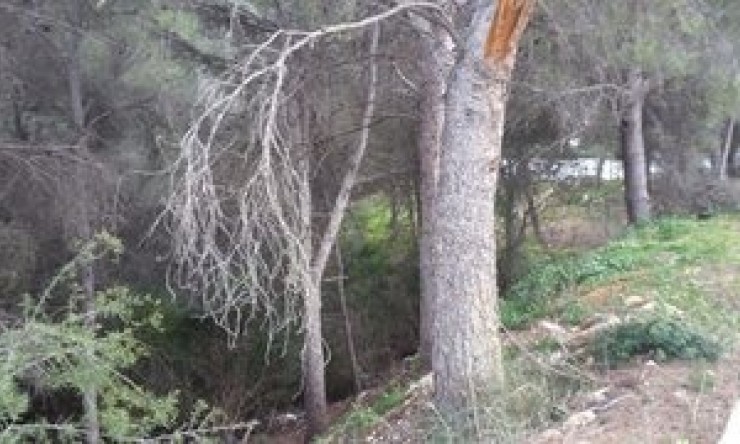 Wiederverkauf -  -
Jávea / Xàbia - Partides comunes - Adsubia