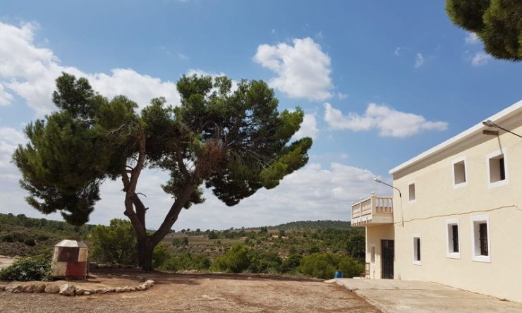 Rynek Wtórny -  -
Murcia