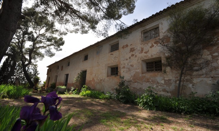 Rynek Wtórny -  -
Murcia