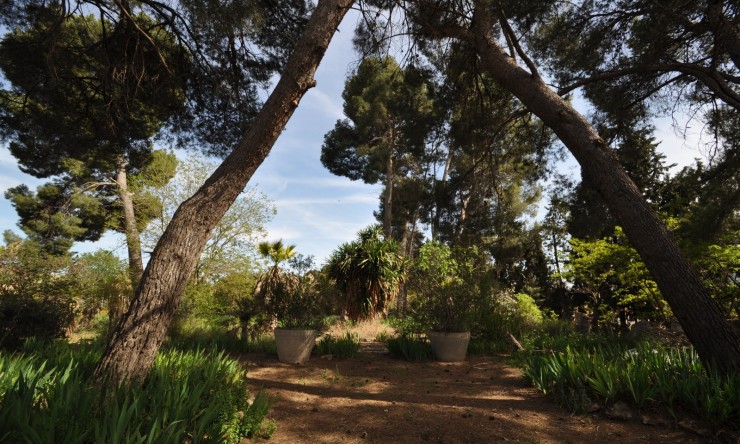 Rynek Wtórny -  -
Murcia