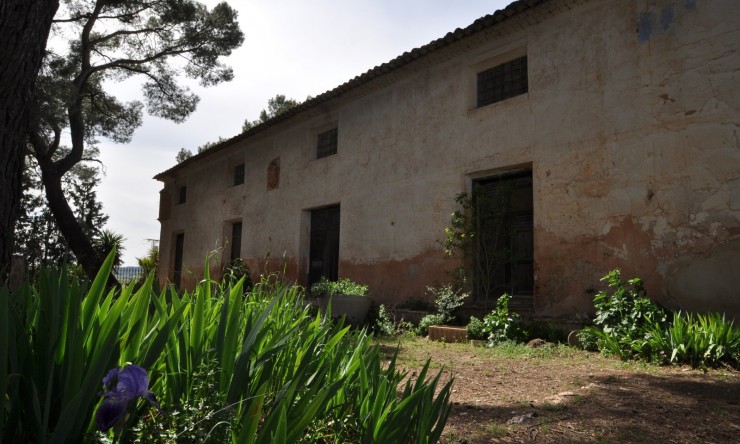 Rynek Wtórny -  -
Murcia