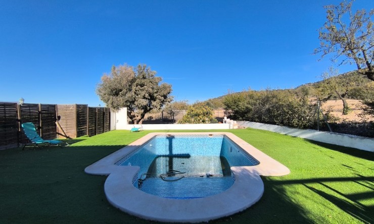 Reventa - Finca -
La Zarza