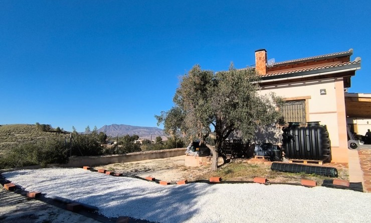 Reventa - Finca -
La Zarza