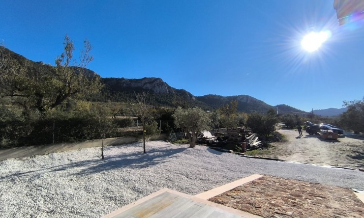 Reventa - Finca -
La Zarza