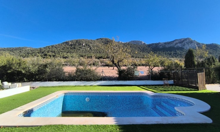 Reventa - Finca -
La Zarza