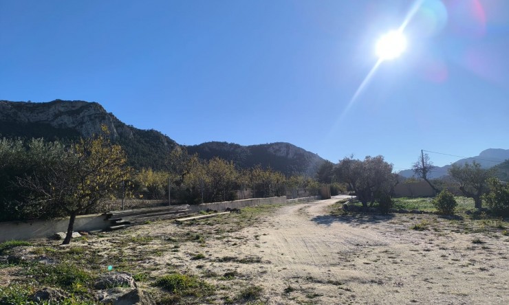 Reventa - Finca -
La Zarza