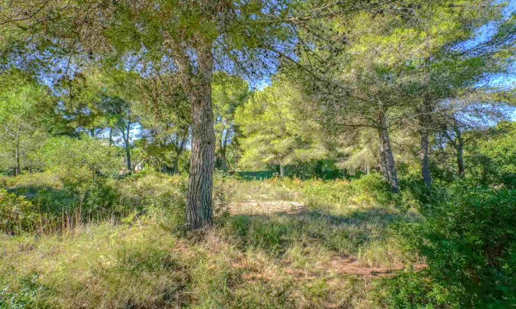 Resale - Land -
Jávea - Portichol