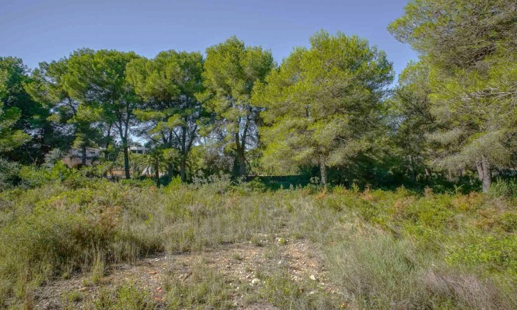 Resale - Land -
Jávea - Portichol