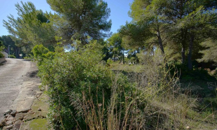 Resale - Land -
Jávea - Portichol