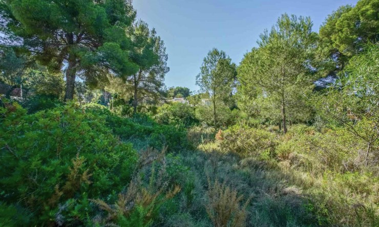 Resale - Land -
Jávea - Portichol