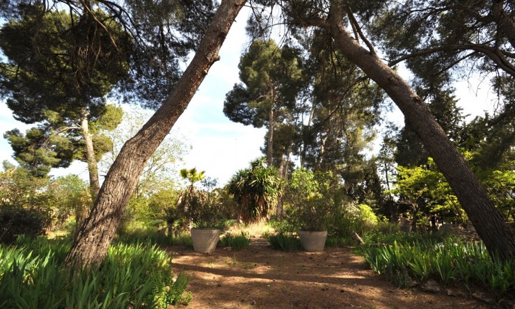 Rynek Wtórny -  -
Murcia