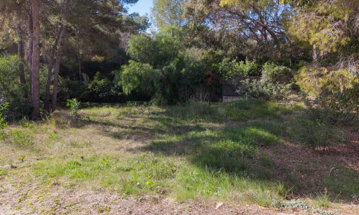 Revente -  -
Moraira - Paichi