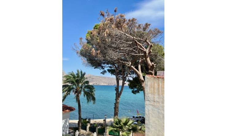 Wiederverkauf - Wohnung -
Altea