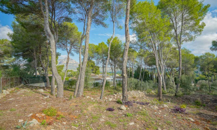 Revente -  -
Jávea - La Lluca