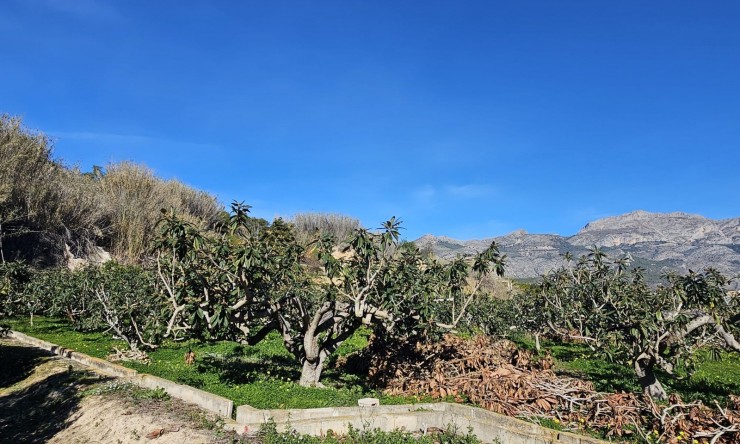 Resale - Rustic House -
Callosa De Ensarrià