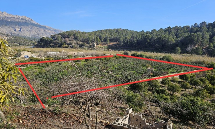 Resale - Rustic House -
Callosa De Ensarrià