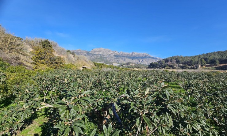 Resale - Rustic House -
Callosa De Ensarrià