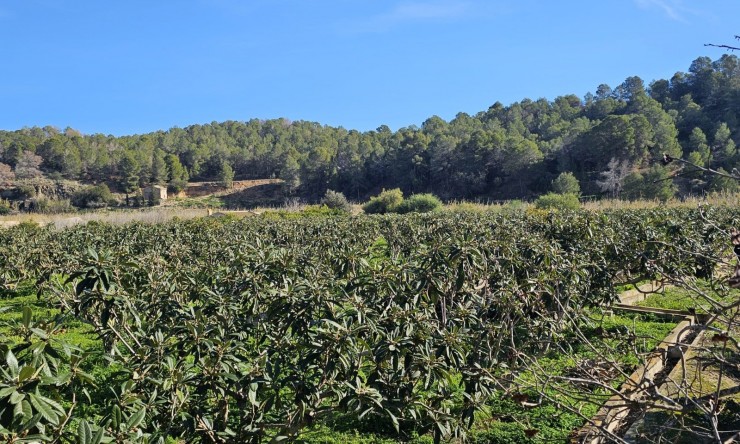 Resale - Rustic House -
Callosa De Ensarrià