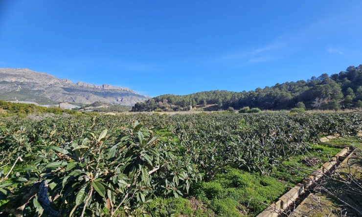 Resale - Rustic House -
Callosa De Ensarrià