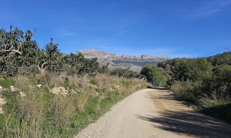 Resale - Rustic House -
Callosa De Ensarrià