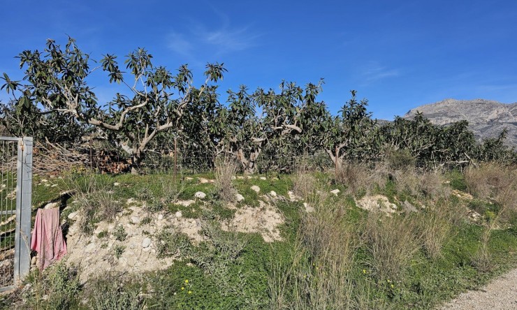 Resale - Rustic House -
Callosa De Ensarrià