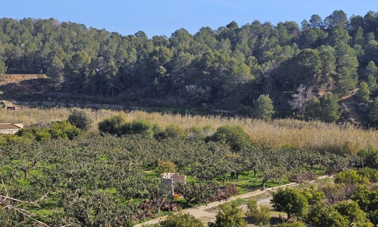 Resale - Rustic House -
Callosa De Ensarrià