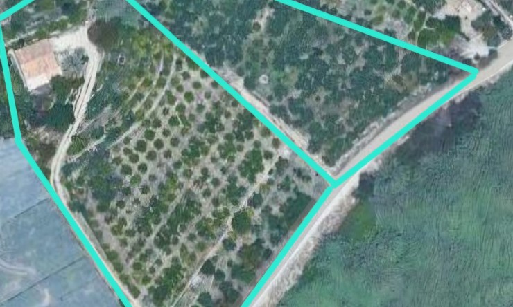 Resale - Rustic House -
Callosa De Ensarrià