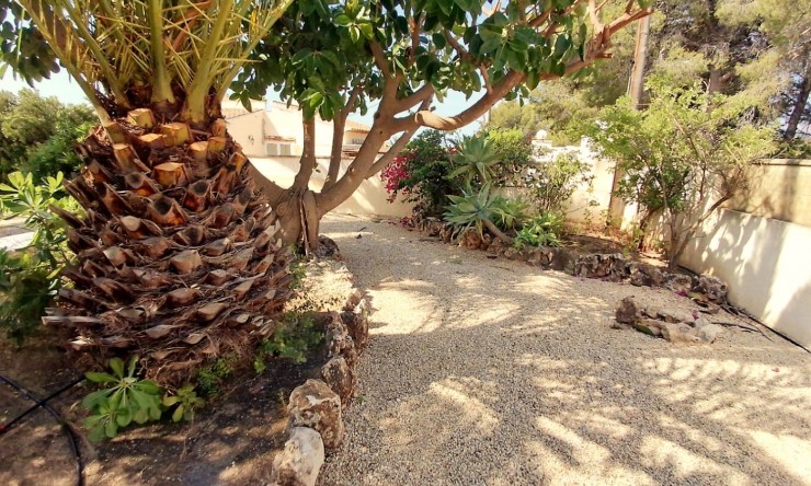 Rynek Wtórny - Willa -
Calpe / Calp - Carrió - La Merced - Los Pinos