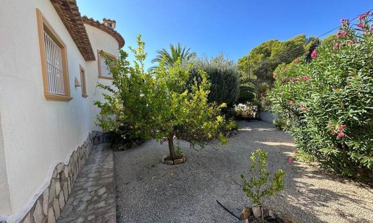 Rynek Wtórny - Willa -
Calpe / Calp - Carrió - La Merced - Los Pinos