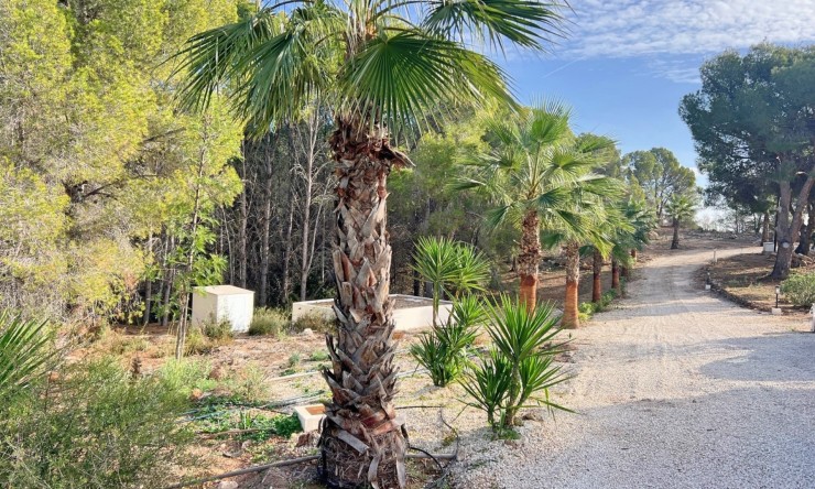 Resale - Villa -
Altea - Altea ciudad