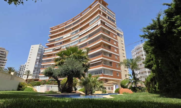Resale - Apartment -
Calpe - Zona Playa del Bol - Puerto