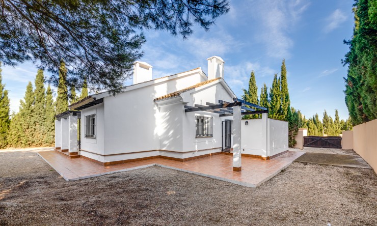 Nouvelle construction -  -
Fuente Alamo