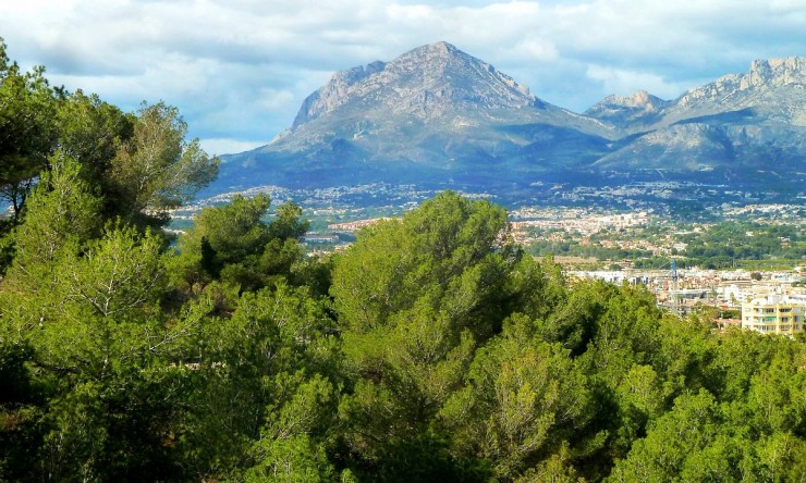 Nueva construcción  -  -
Finestrat