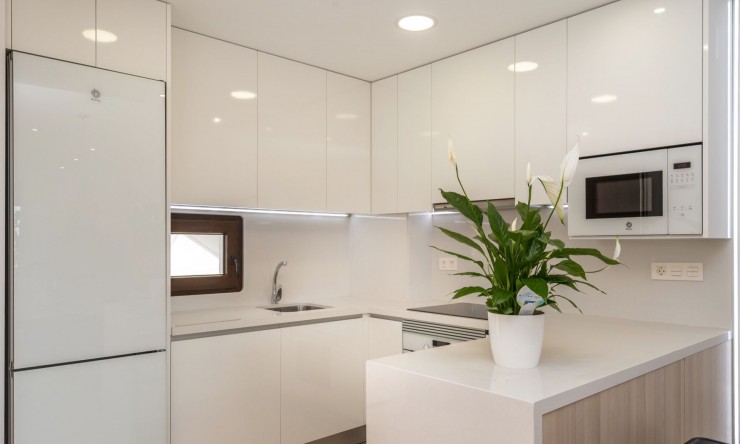 Nueva construcción  -  -
Finestrat